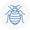 Bed Bug Extermination In Colnbrook