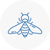 Bee Nest Removal Colnbrook