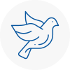 Bird Prevention Colnbrook