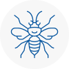 Colnbrook Hornet Nest Removals