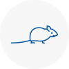 Mice Exterminators In Colnbrook