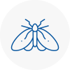 Moth Control Specialists In Colnbrook