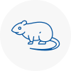 Rat Control Colnbrook