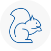 Colnbrook Rodent Removals