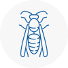 Colnbrook Wasp Nest Removal